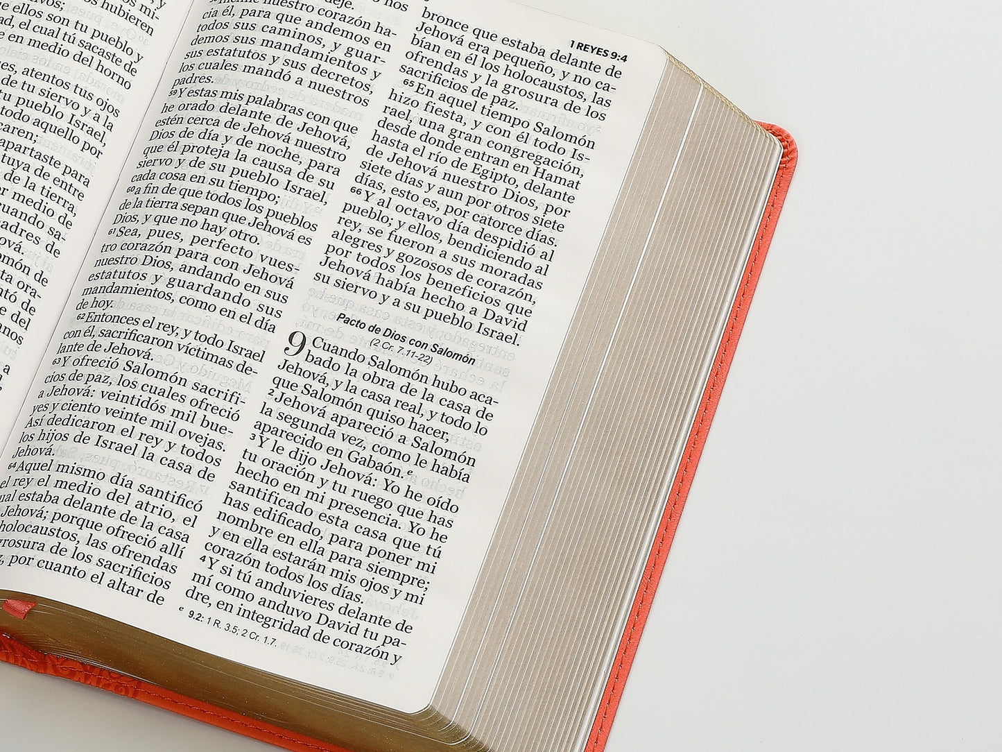 Biblia RVR60 Tamaño manual letra GIgante rosa