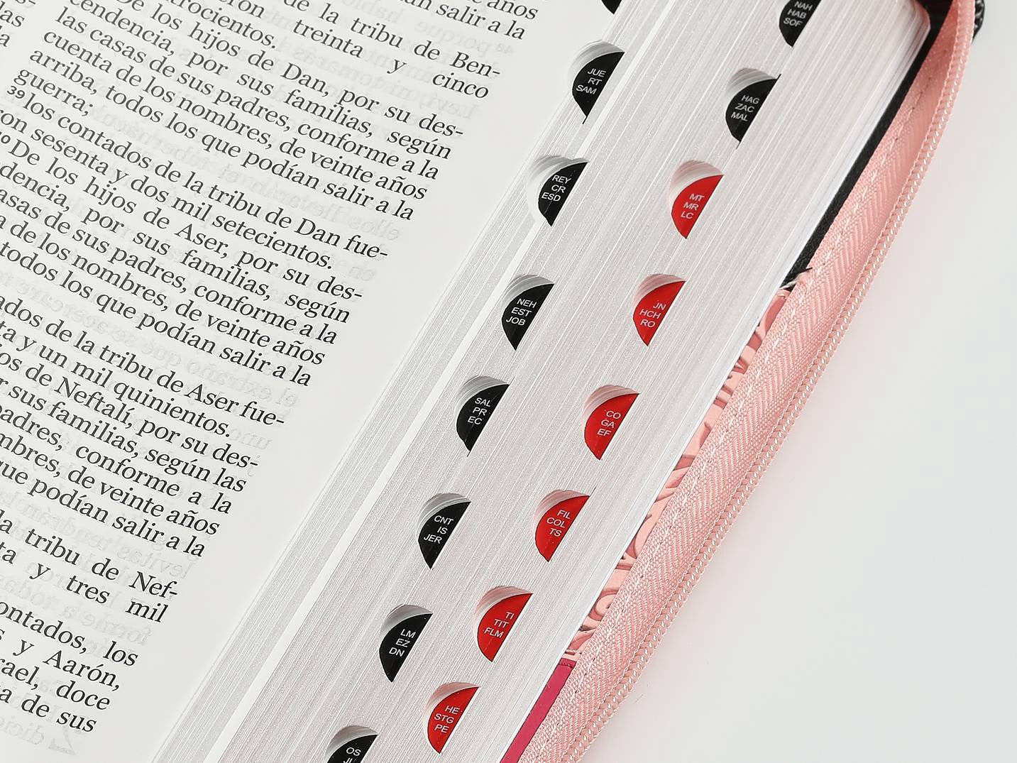 Biblia RVR60 Letra Gigante Tricolor Rosa