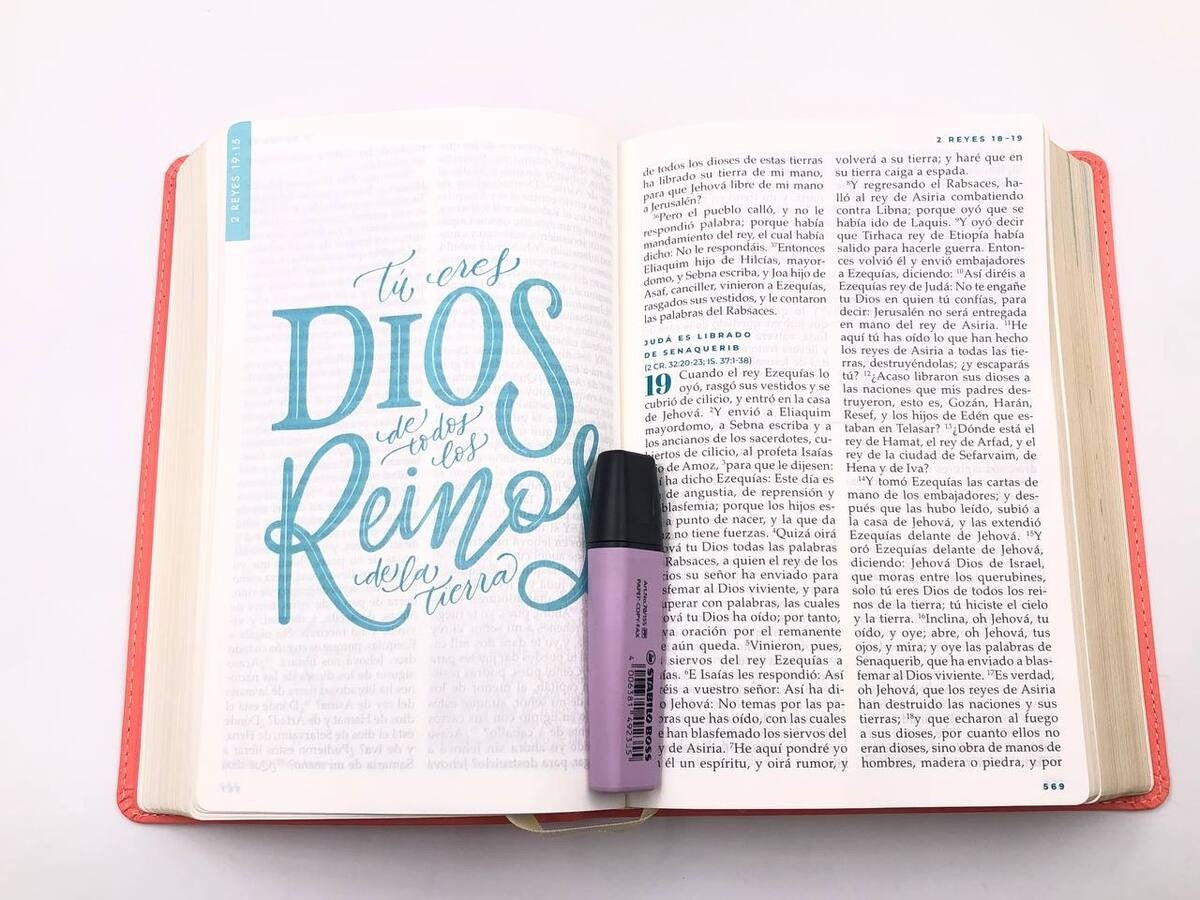 Biblia RVR 1960 Devocional Mujer Verdadera Letra Grande