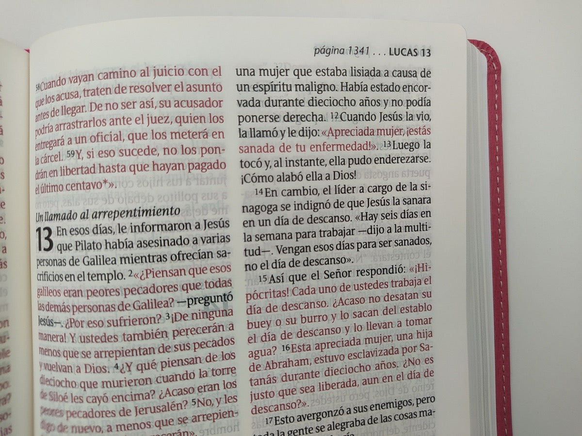 Biblia NTV Tamaño Personal Letra Grande Rosa