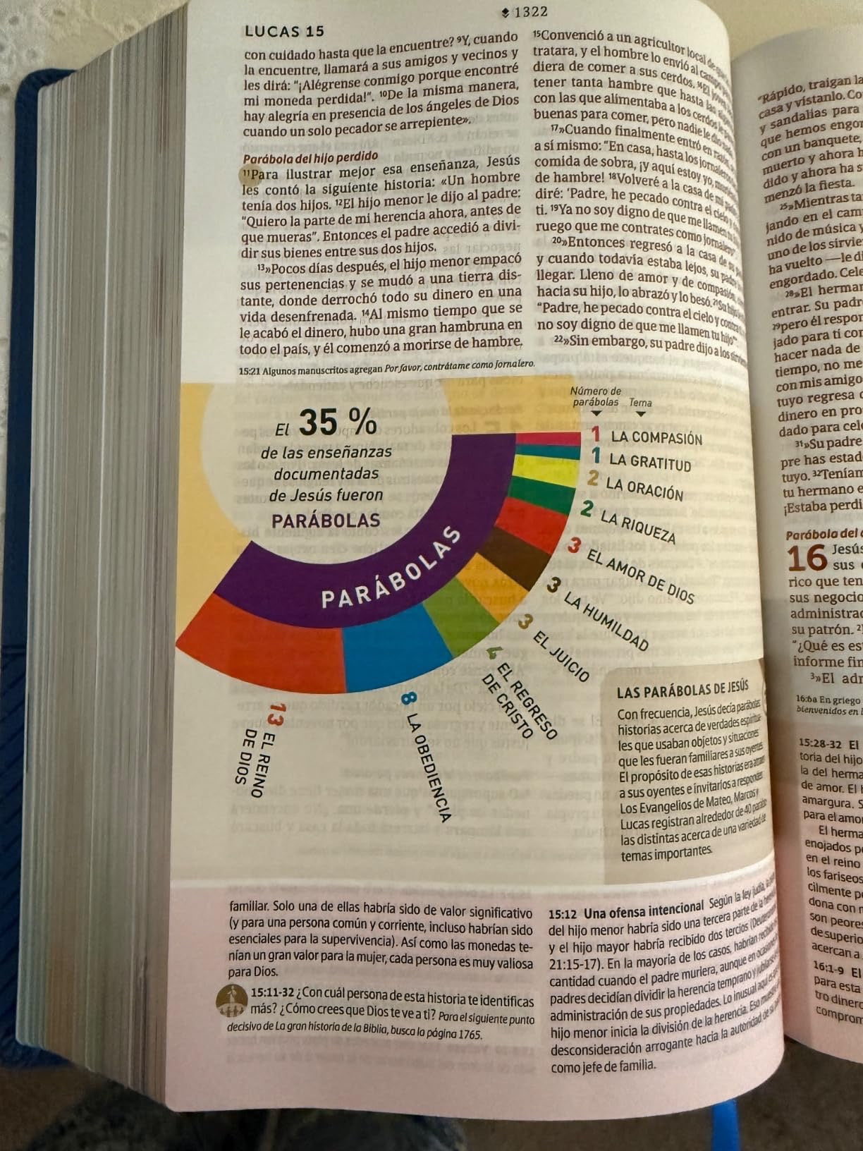 Biblia NTV de Estudio Diario Vivir Letra Grande gris tapa dura