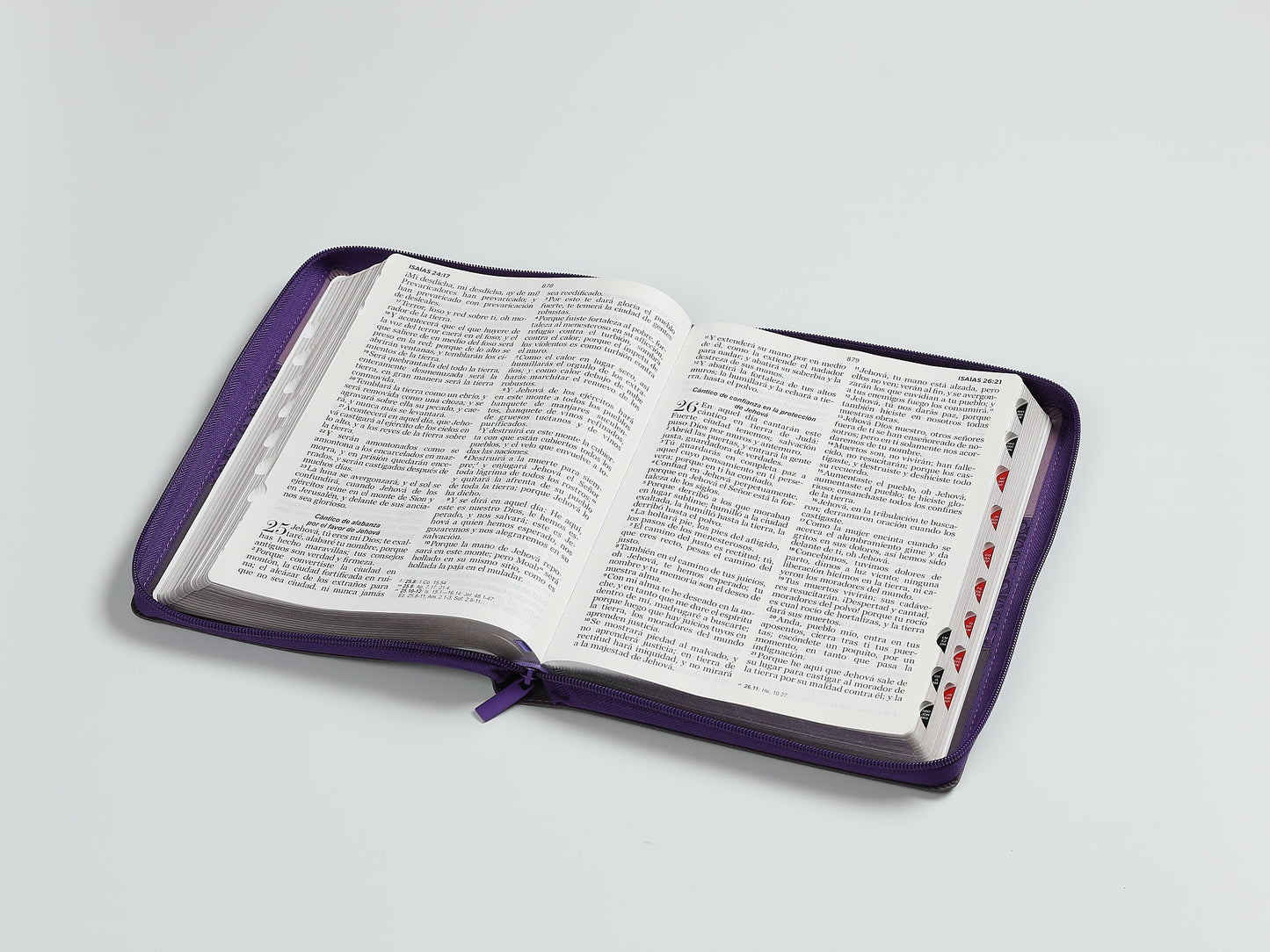Biblia RVR60 Letra Gigante Morada