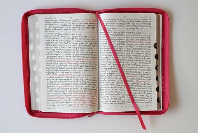 Biblia RVR 1960 Letra Grande Tamaño Manual Fucsia