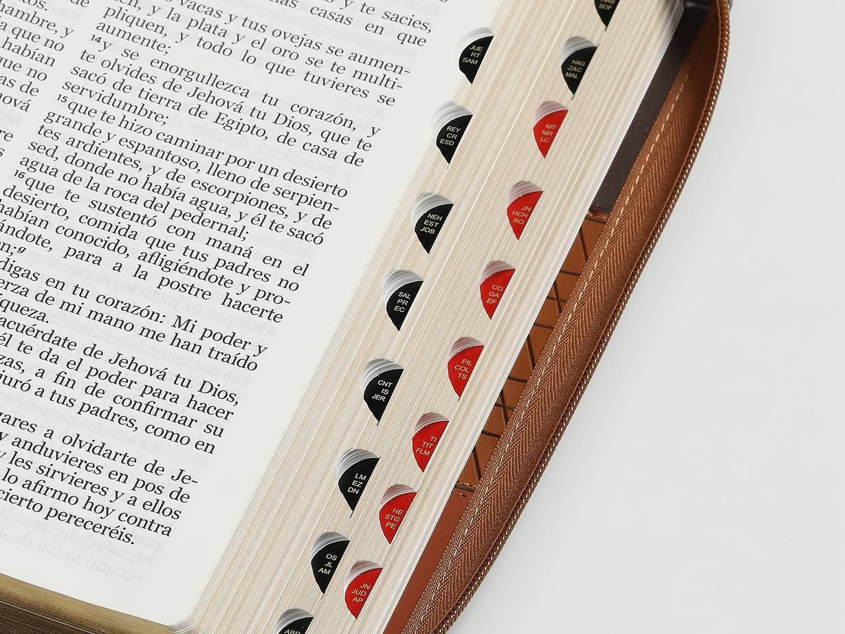 Biblia RVR60 Letra Gigante Marron