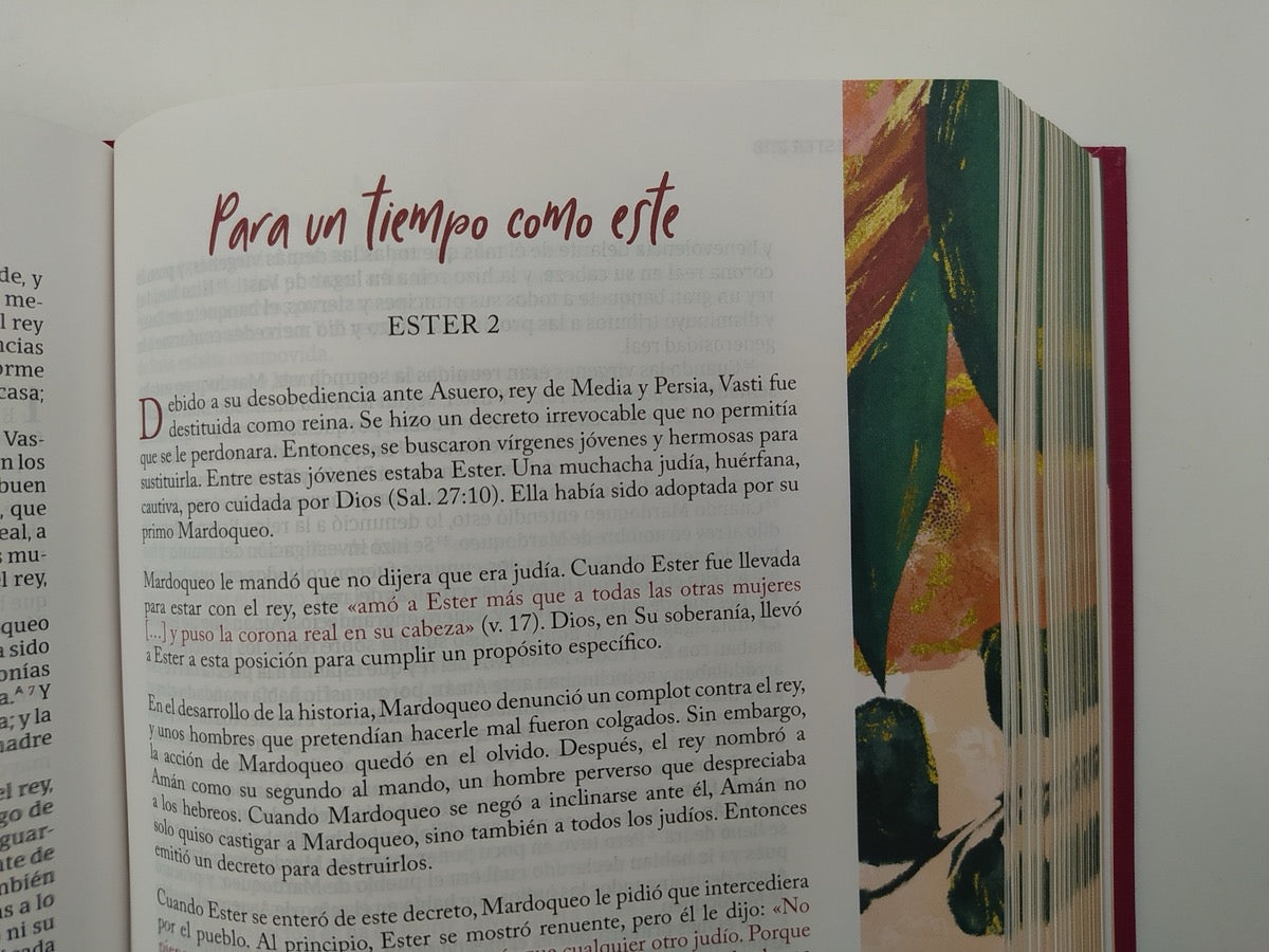 Biblia RVR 1960 Centrada en Cristo Granada Tapa Dura