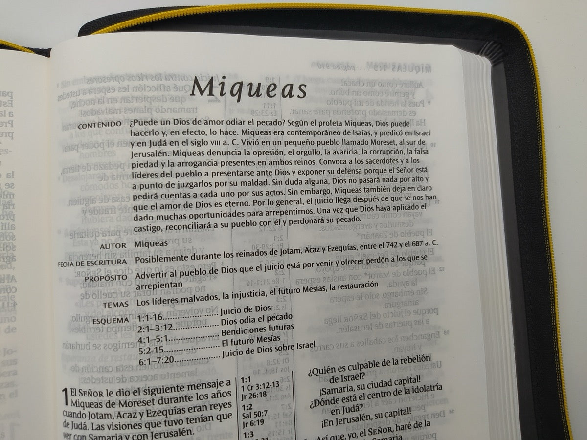 Biblia NTV edición cierre letra grande