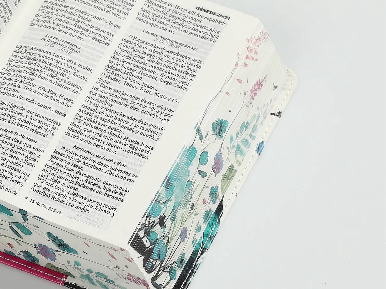 Biblia RVR60 bolsillo