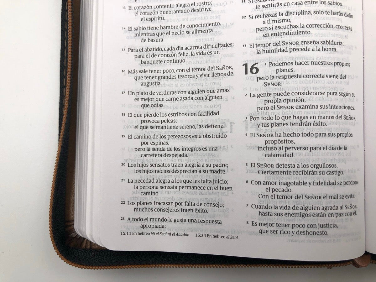 Biblia NTV edición compacta