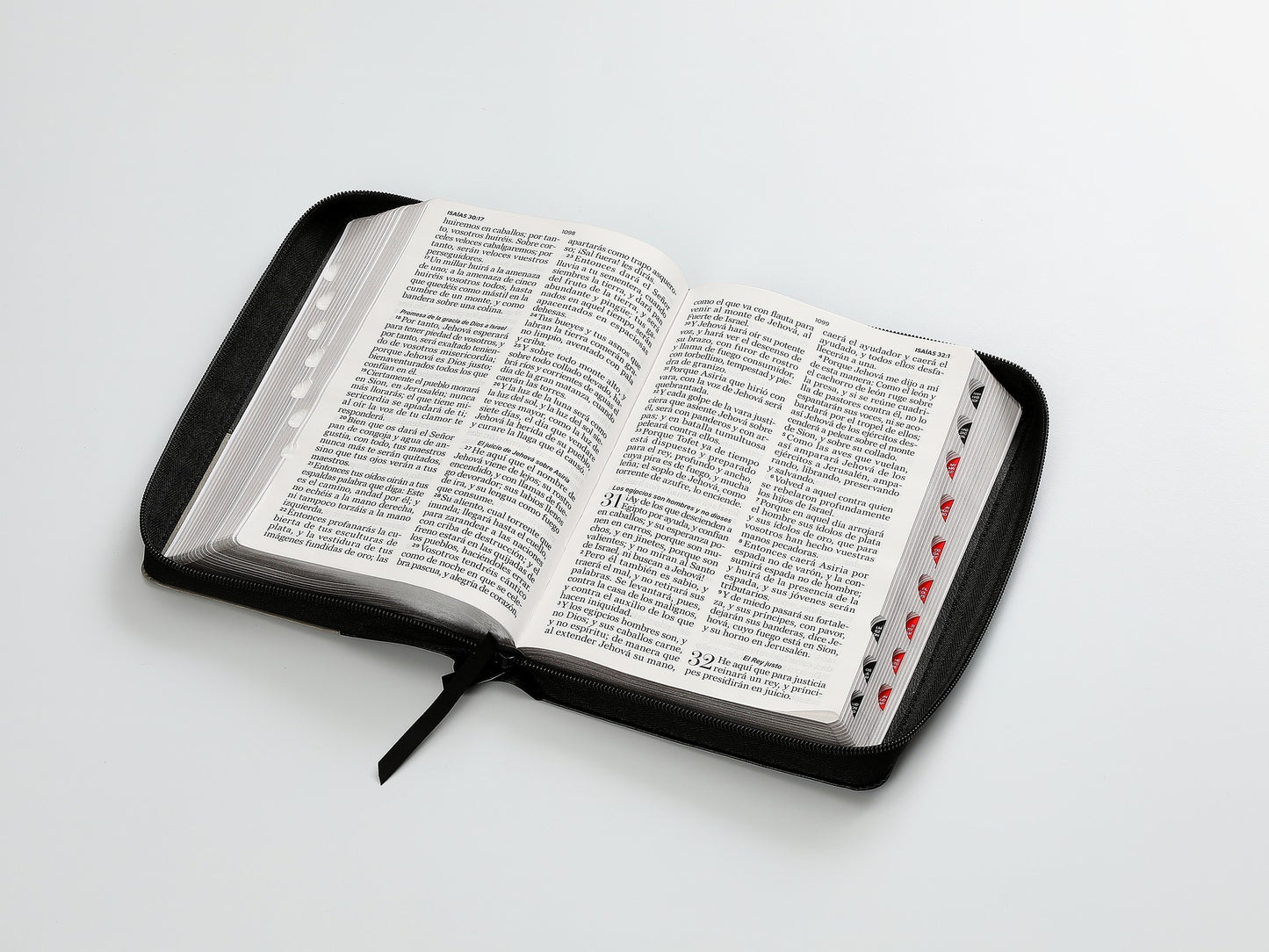 Biblia RVR60 Tamaño manual letra gigante cierre indice