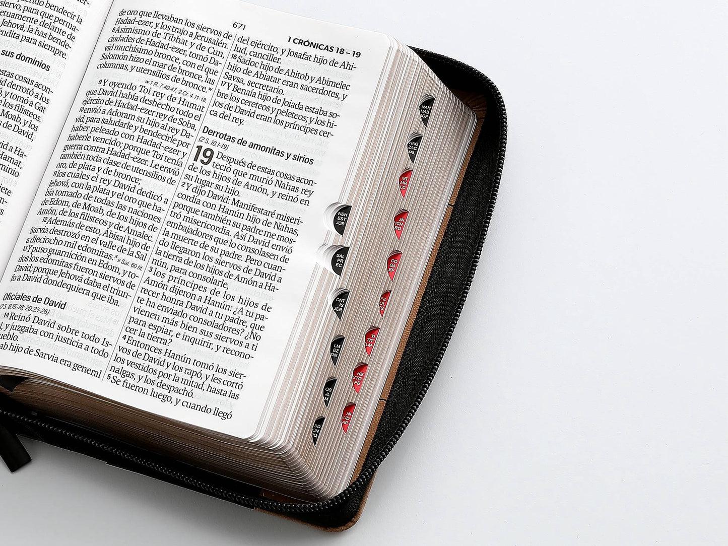 Biblia RVR60 Tamaño compacto Letra Grande 12 puntos cierre indice