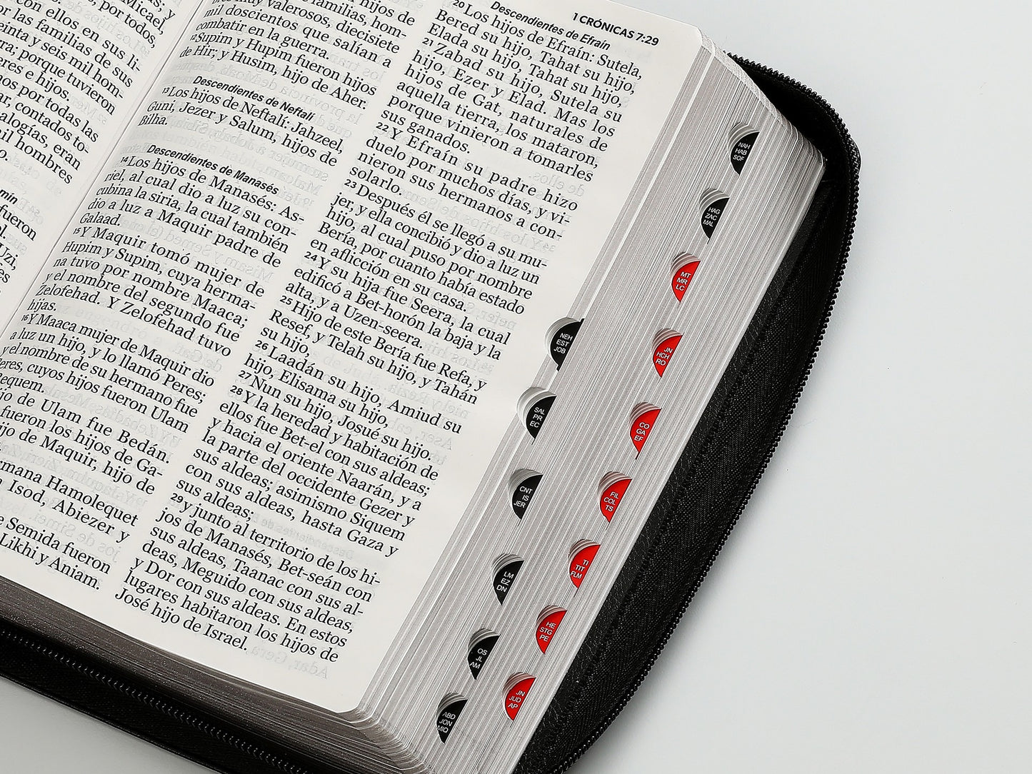Biblia RVR60 Tamaño manual letra gigante cierre indice