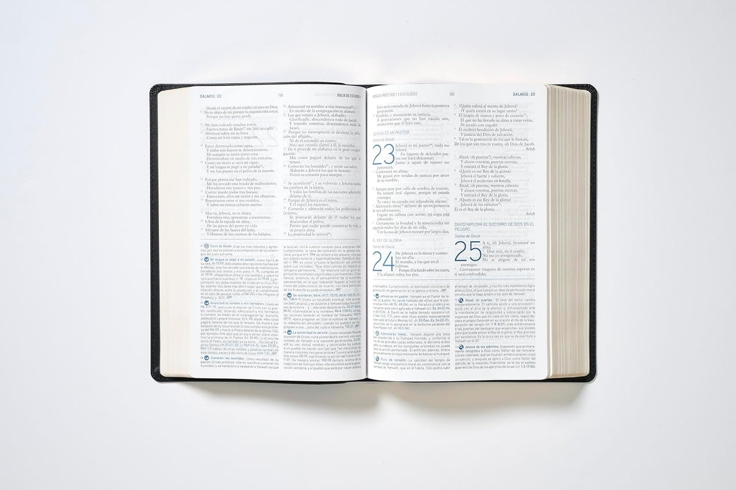 Biblia de estudio mensaje profético y escatológico. Rústica - RVR77