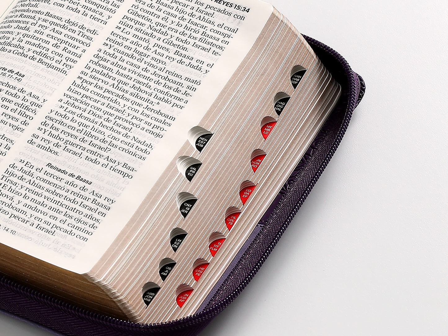 Biblia RVR60 portátil Letra 11 puntos i/piel con cierre