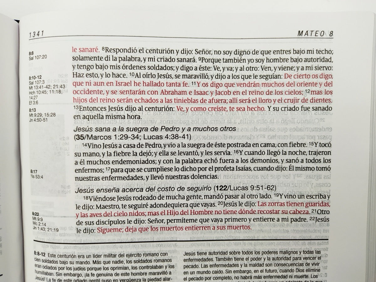 Biblia RVR 1960 de Estudio Diario Vivir Negro