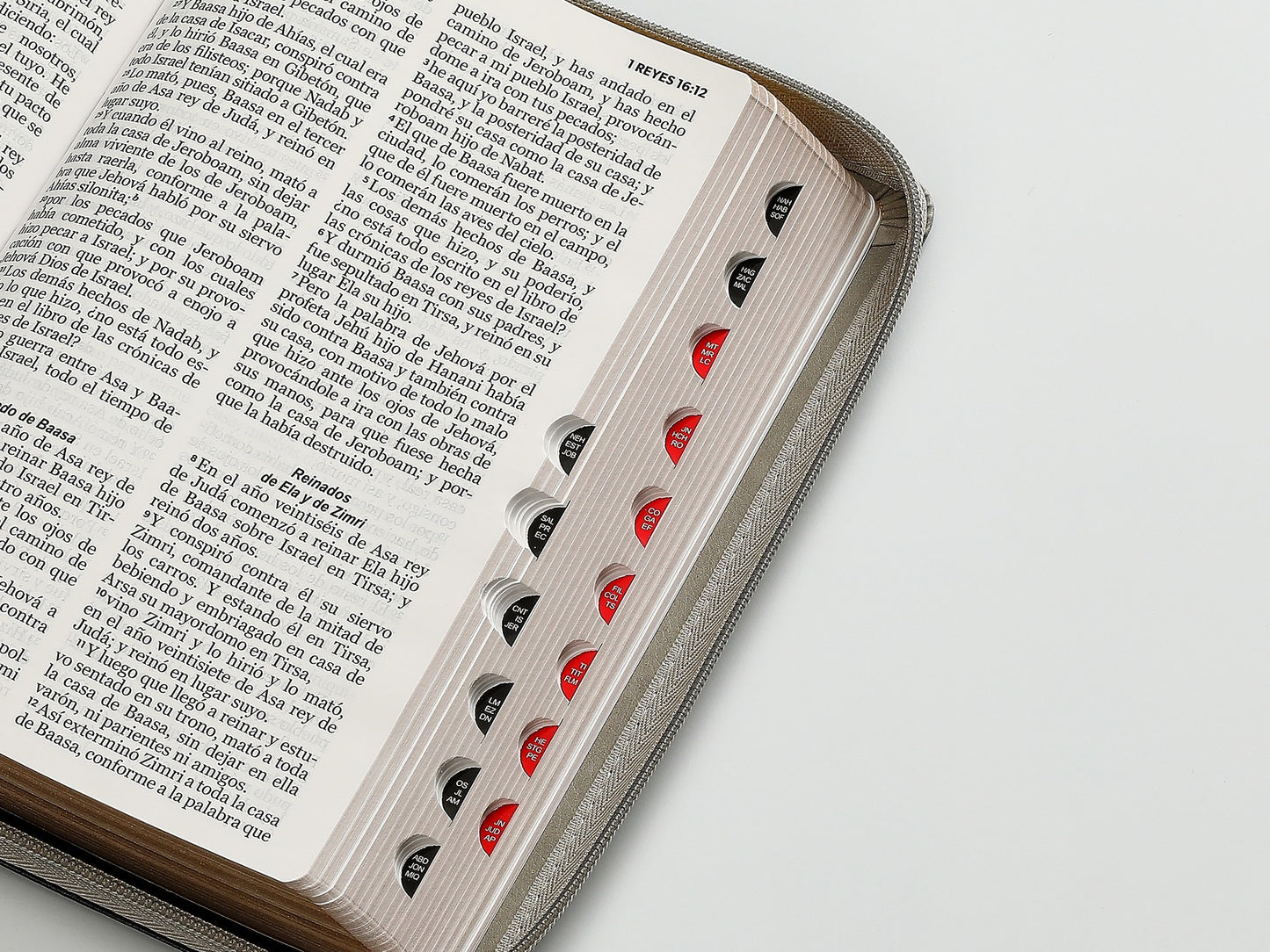 Biblia RVR60 Tamaño Manual letra grande cierre indice