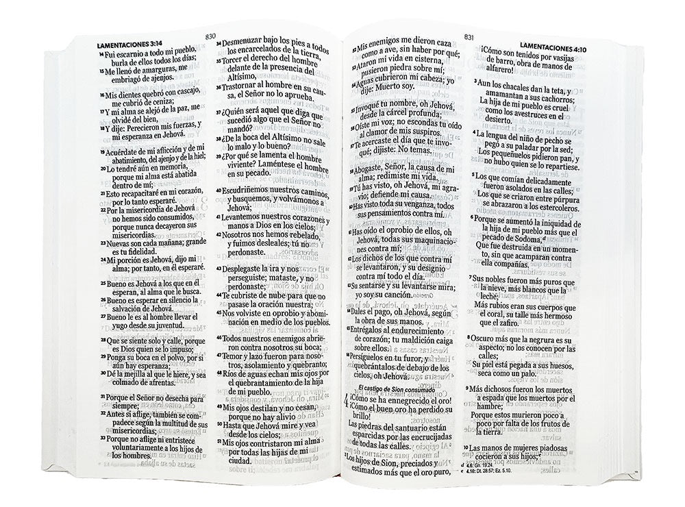 Biblia RVR 1960 Letra Grande espada con indice