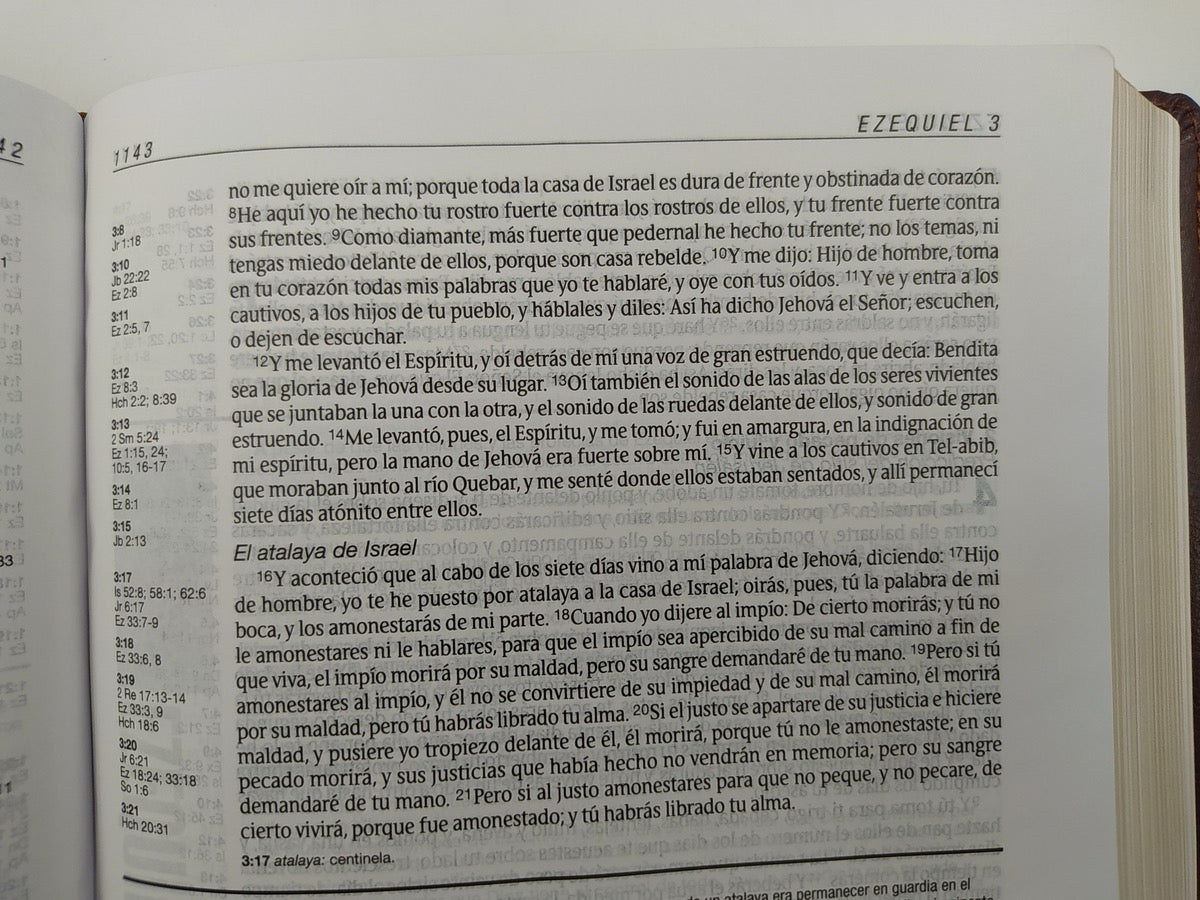Biblia RVR 1960 de Estudio Diario Vivir Café