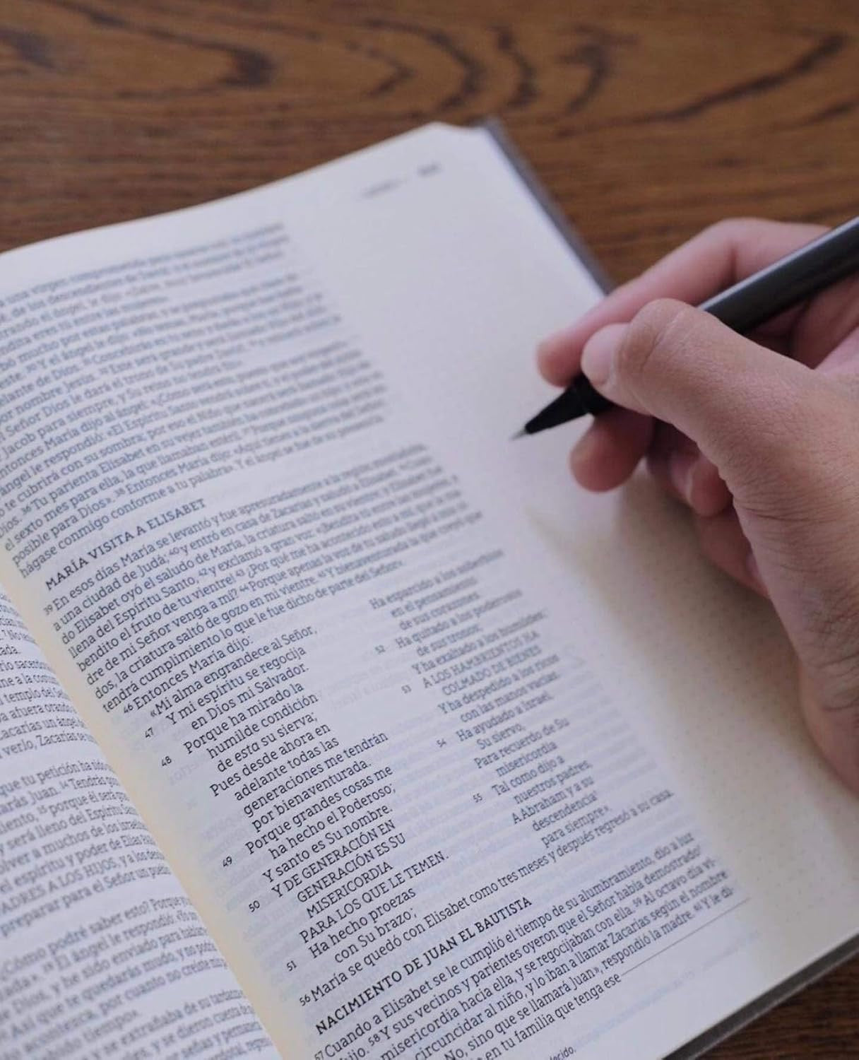 Biblia edición artística Gris NBLA