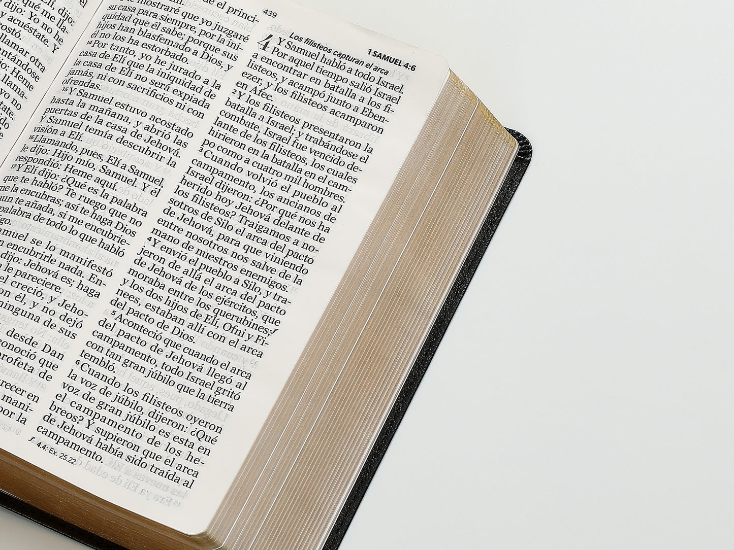 Biblia RVR60 Tamaño manual letra GIgante piel negro