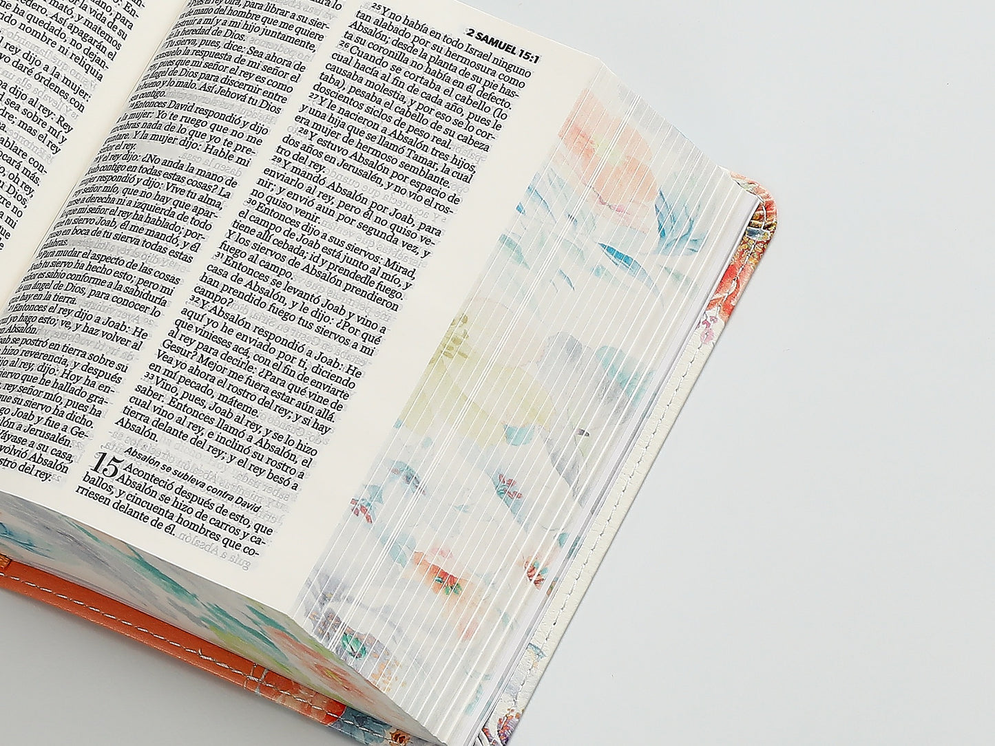 Biblia RVR60 bolsillo Colores