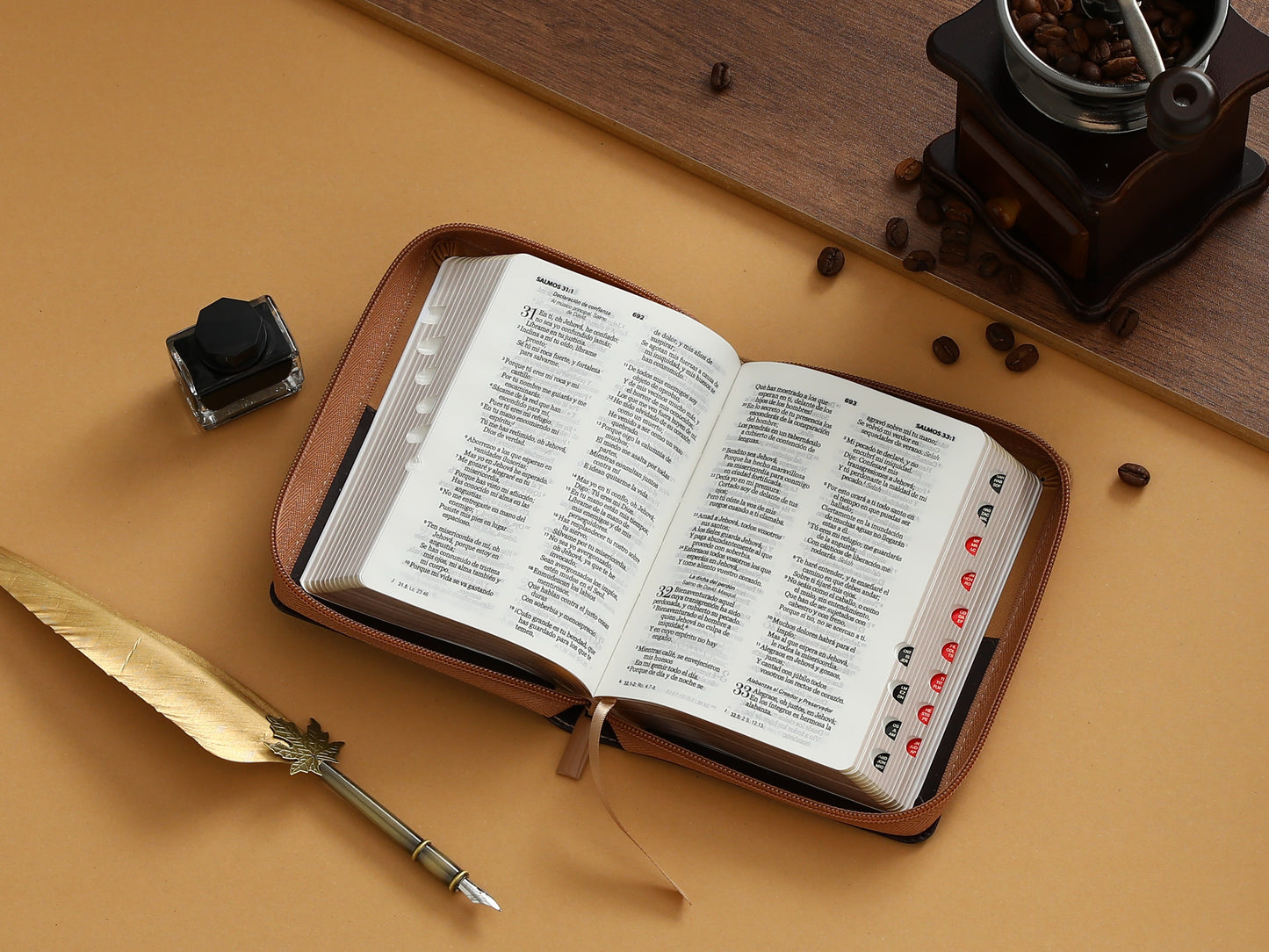 Biblia RVR60 bolsillo