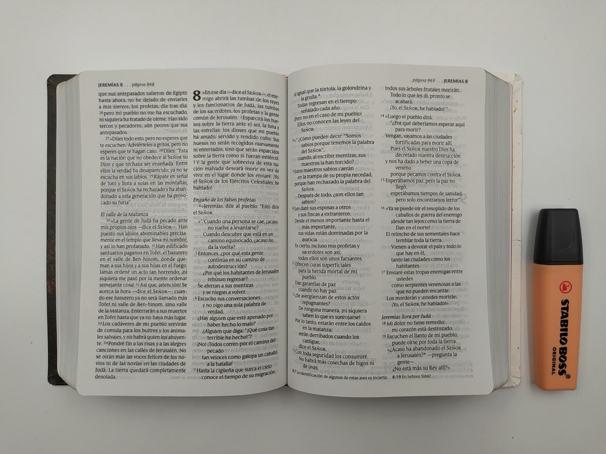 Biblia NTV Letra Grande Compacta Tapa Vinilo