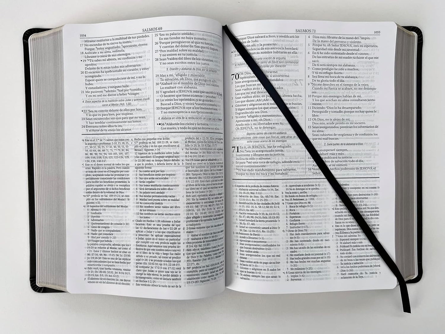 Biblia RVR 1960 de Estudio Dake Negra Piel