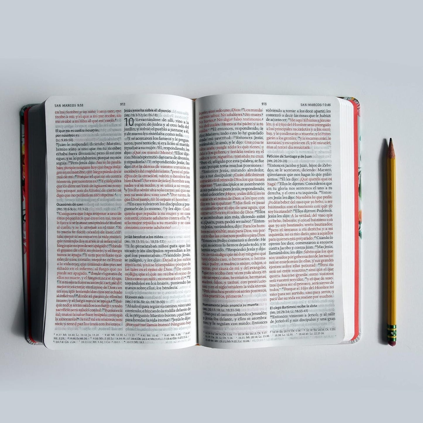 Biblia manual Letra Grande RVR 1960