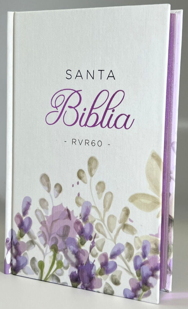 Biblia RVR60 Tamaño manual Letra grande Tapa Dura