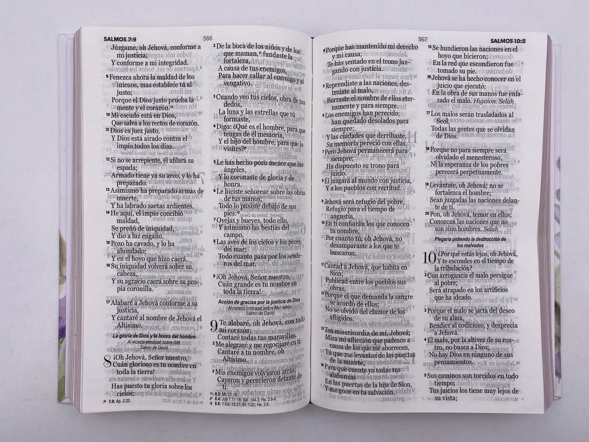Biblia RVR60 Tamaño manual Letra grande Tapa Dura