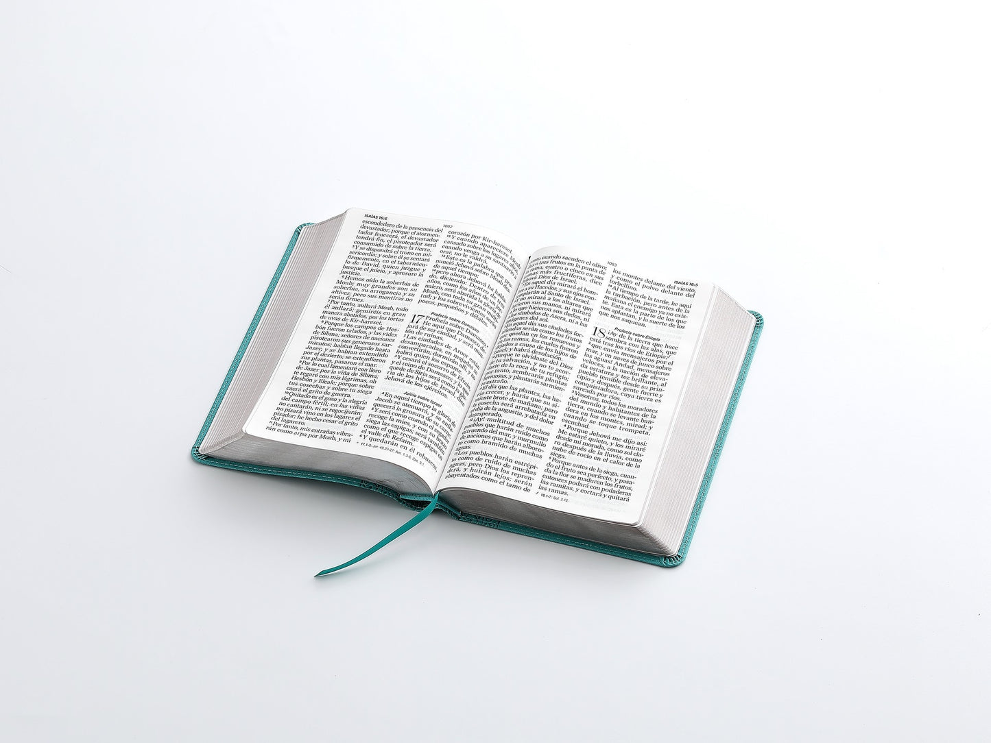 Biblia RVR60 Tamaño manual letra GIgante turquesa