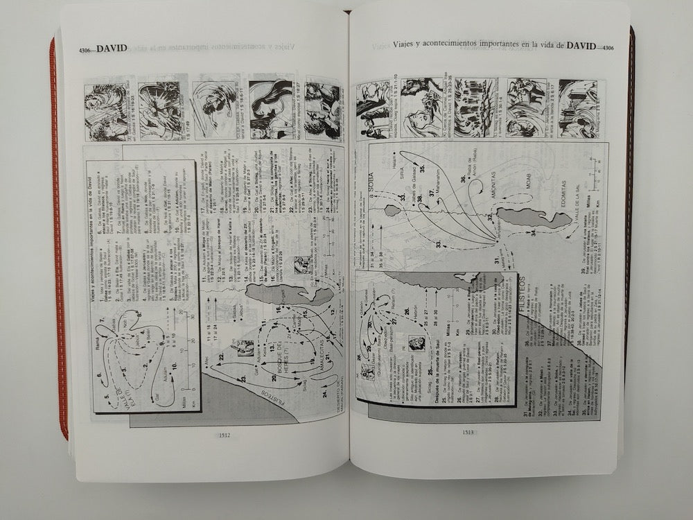 Biblia RVR 1960 de Estudio Thompson Personal