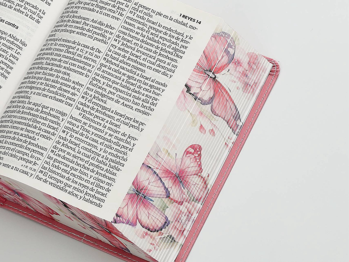 Biblia RVR60 Tamaño compacto Letra Grande 12 puntos