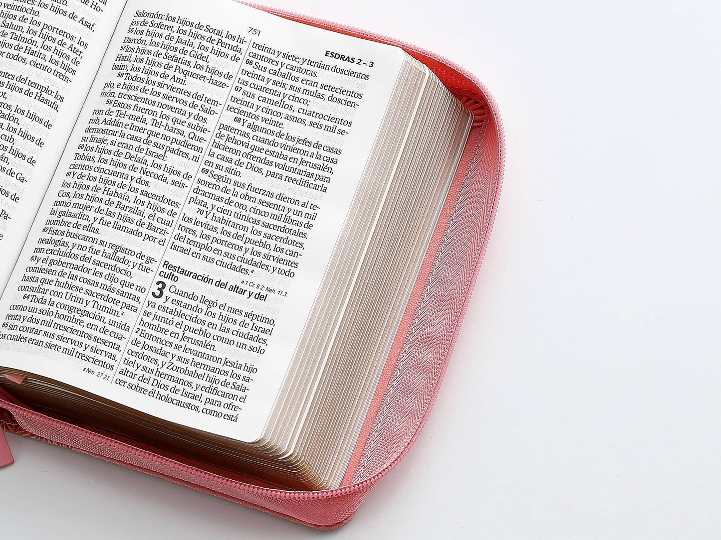 Biblia RVR60 Tamaño compacto Letra Grande 12 puntos rosa cierre