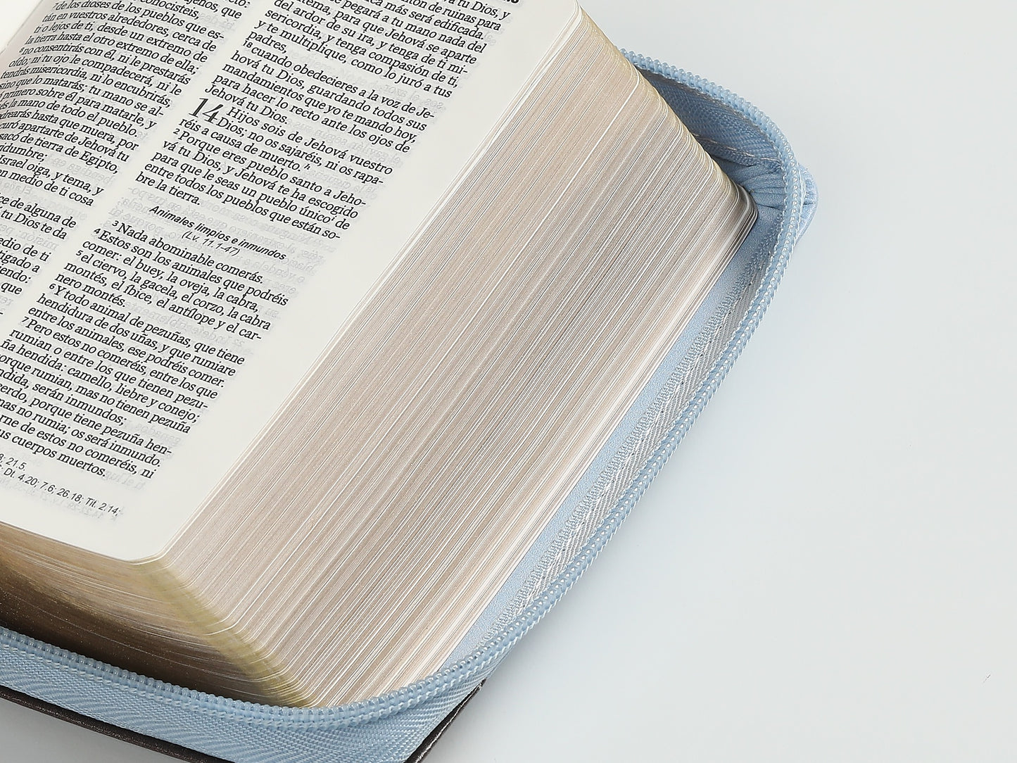 Biblia Bolsillo RVR 1960