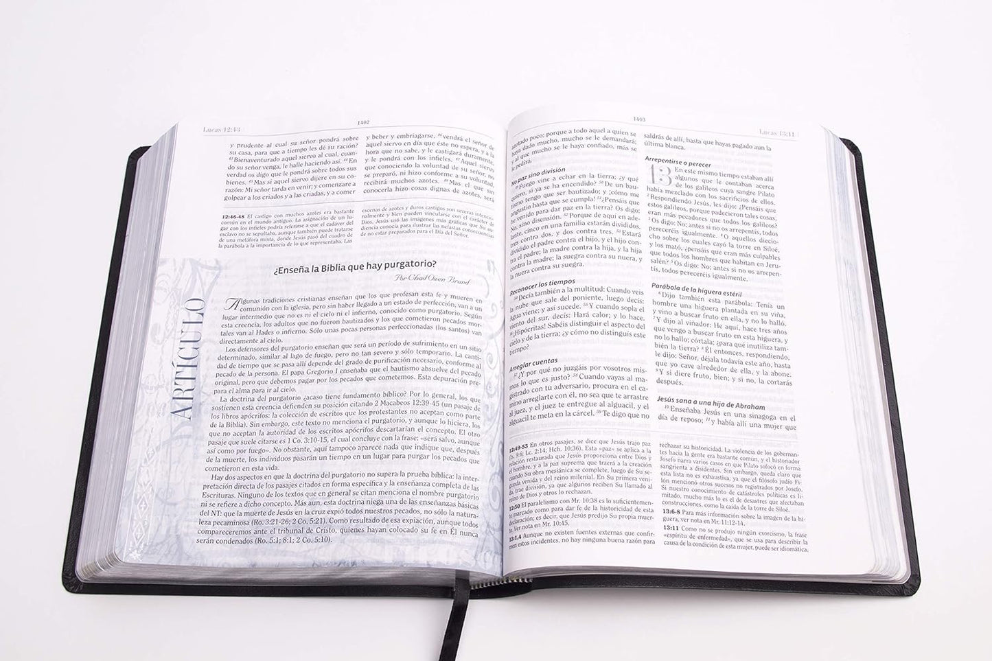 Biblia RVR 1960 de Estudio de Apologetica