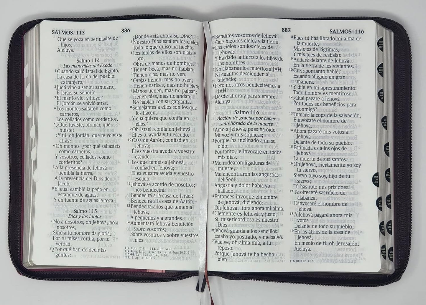 Biblia RVR 1960 Letra Súper Gigante Cierre Indice