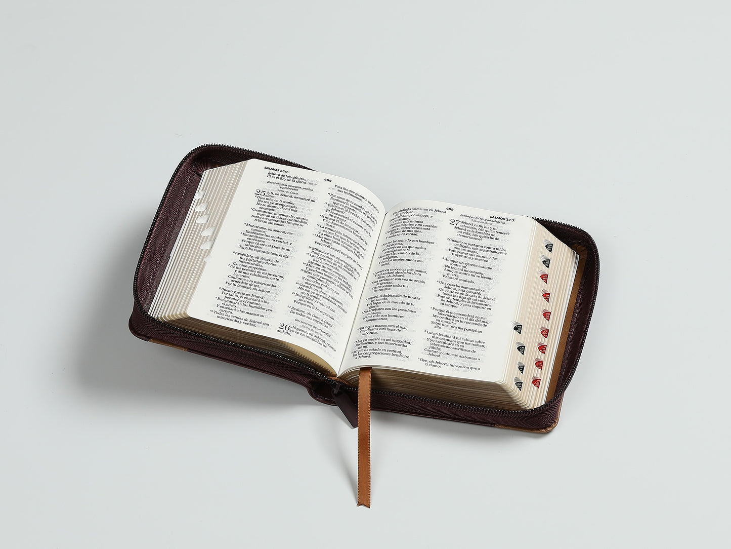 Biblia RVR60 Bolsillo con cierre indice