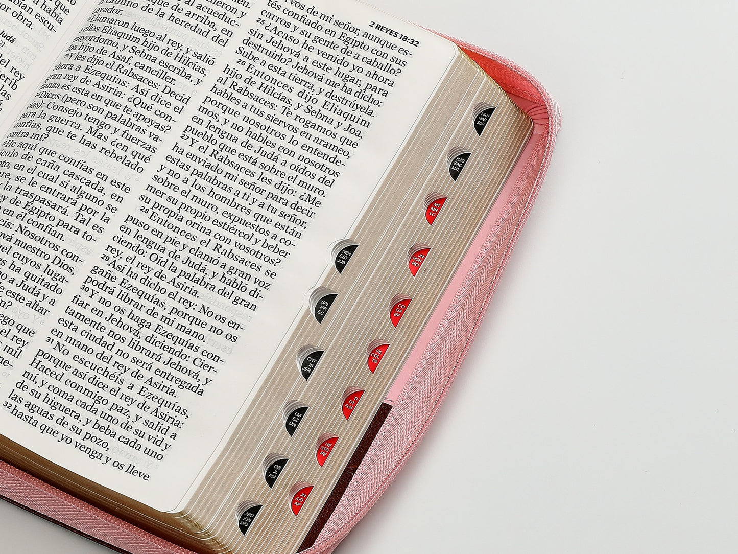 Biblia RVR60 TAmaño Manual letra Gigante cierre indice