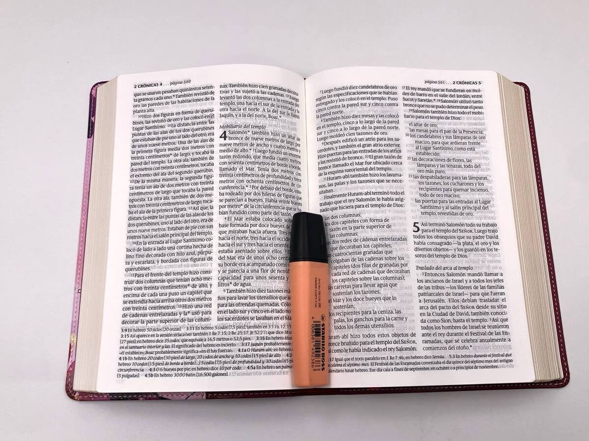 Biblia NTV Letra Grande Tamaño Personal