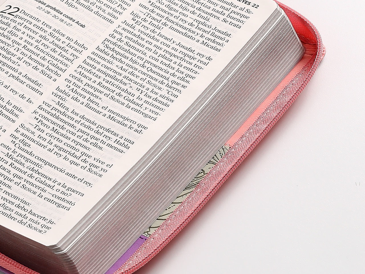 Biblia NVI Peninsular Tamaño manual letra Grande tricolor