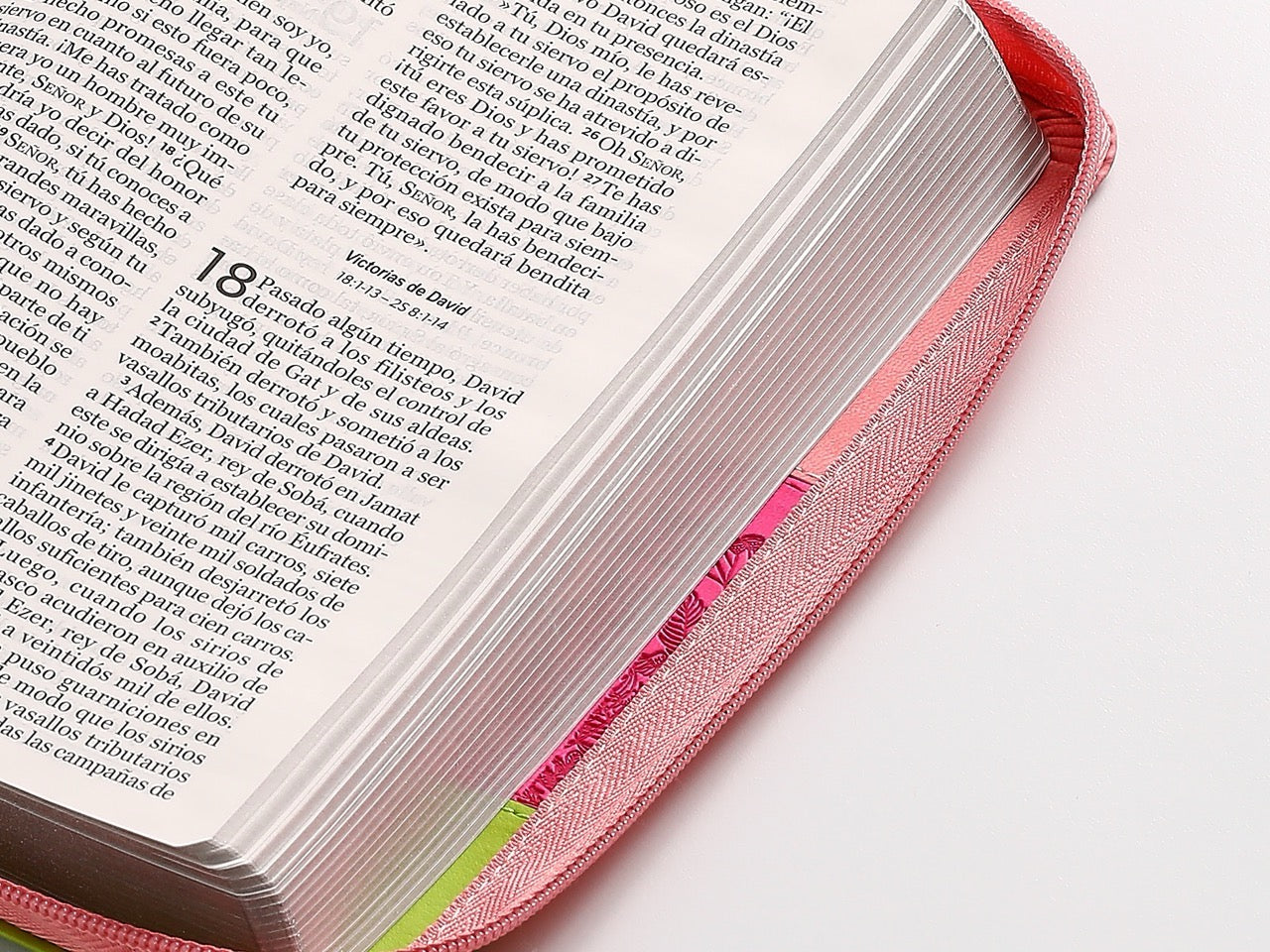 Biblia NVI Peninsular Tamaño Manual Letra Grande Tricolor