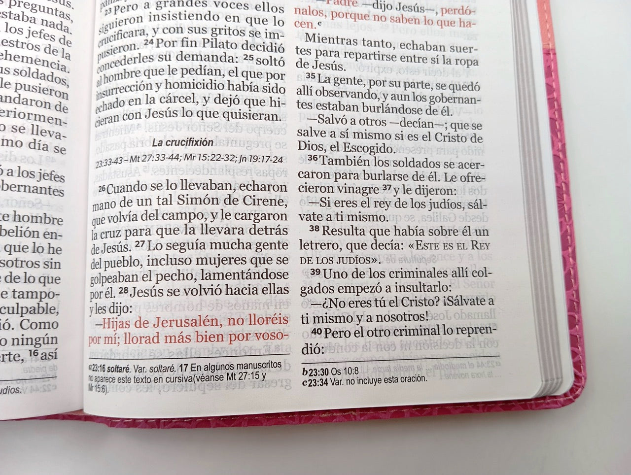 Biblia NVI Peninsular Tamaño manual letra grande rosa