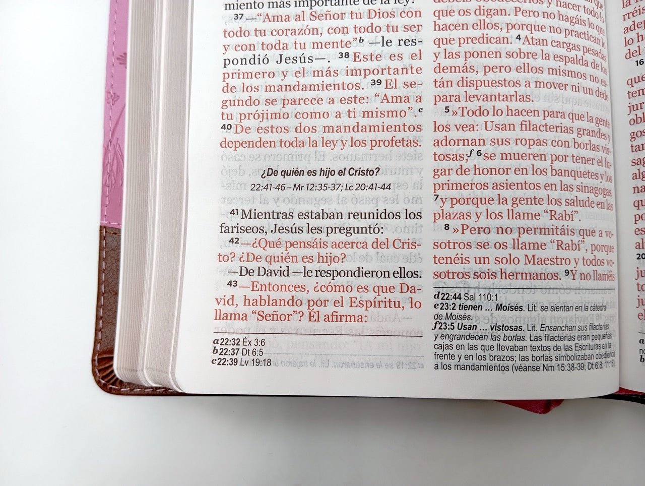 Biblia NVI Peninsular Tamaño Manual letra grande