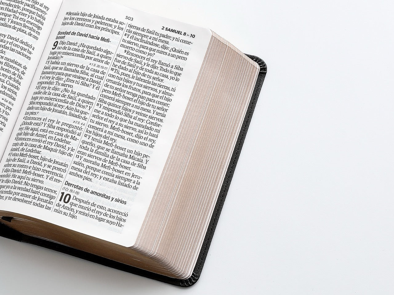 Biblia RVR60 Tamaño compacto Letra Grande 12 puntos