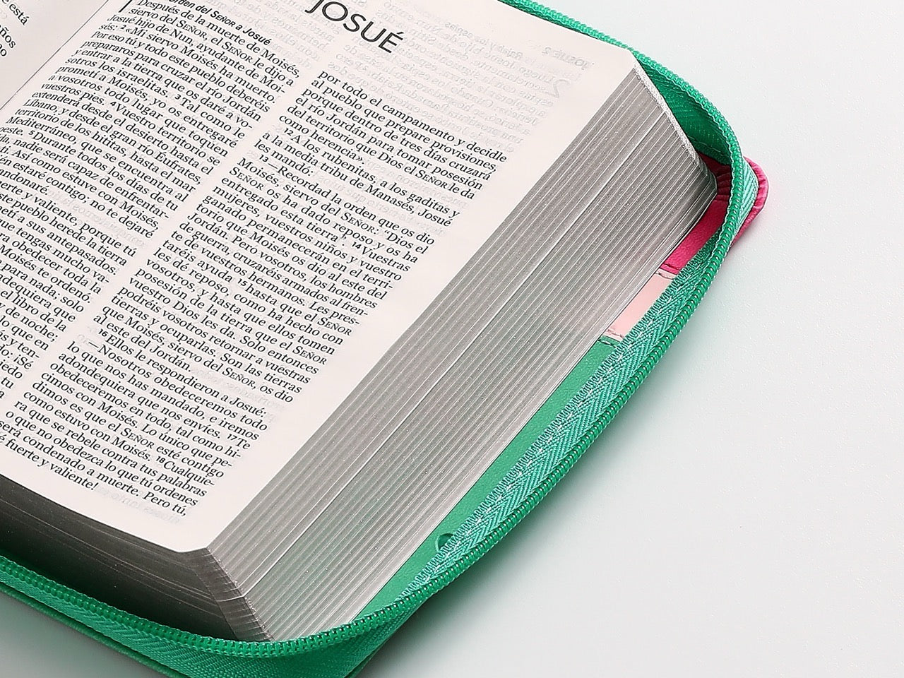 Biblia NVI Peninsular Portátil Letra Grande