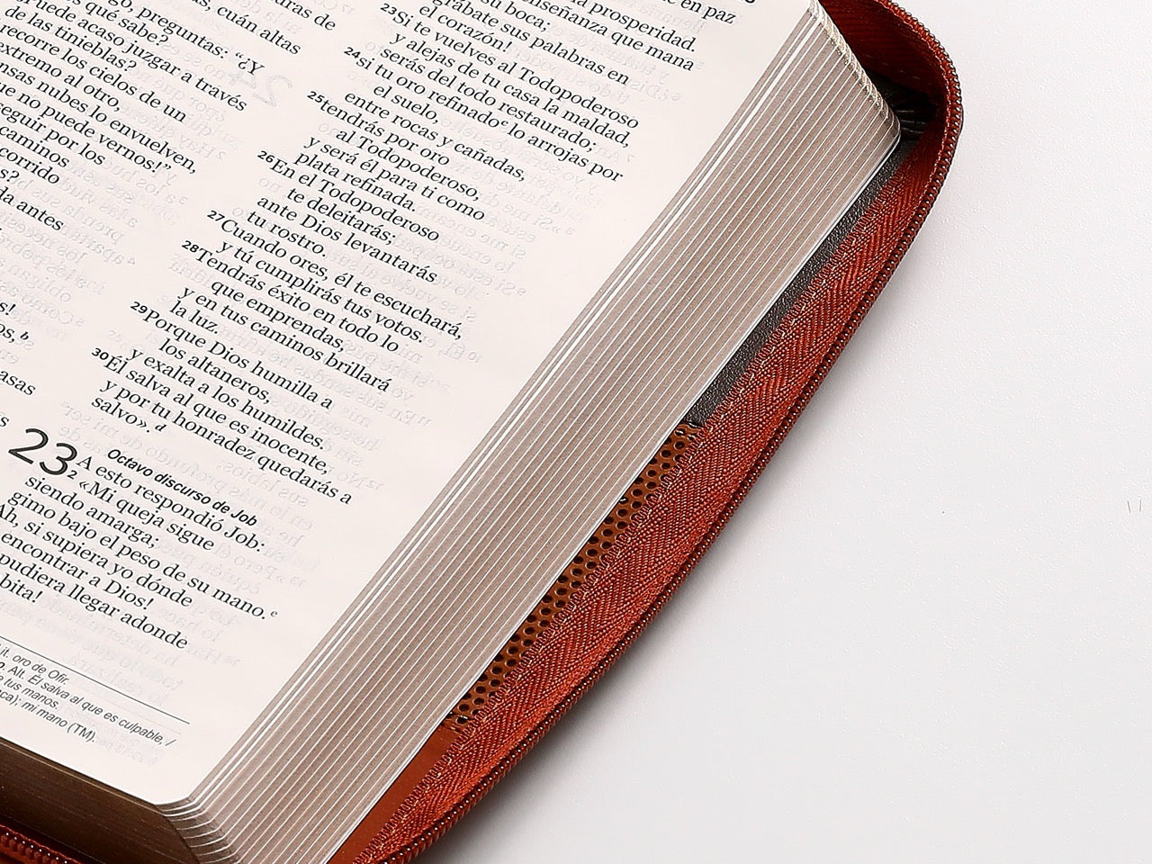 Biblia NVI Peninsular tamaño manual letra grande tricolor con cierre