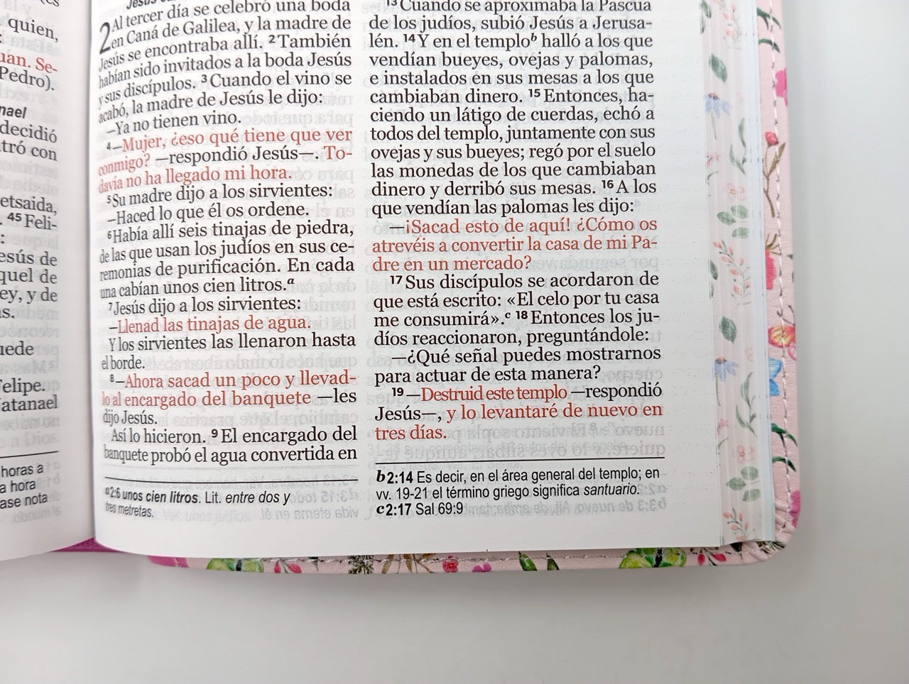 Biblia NVI Peninsular Portátil Letra Grande Floral