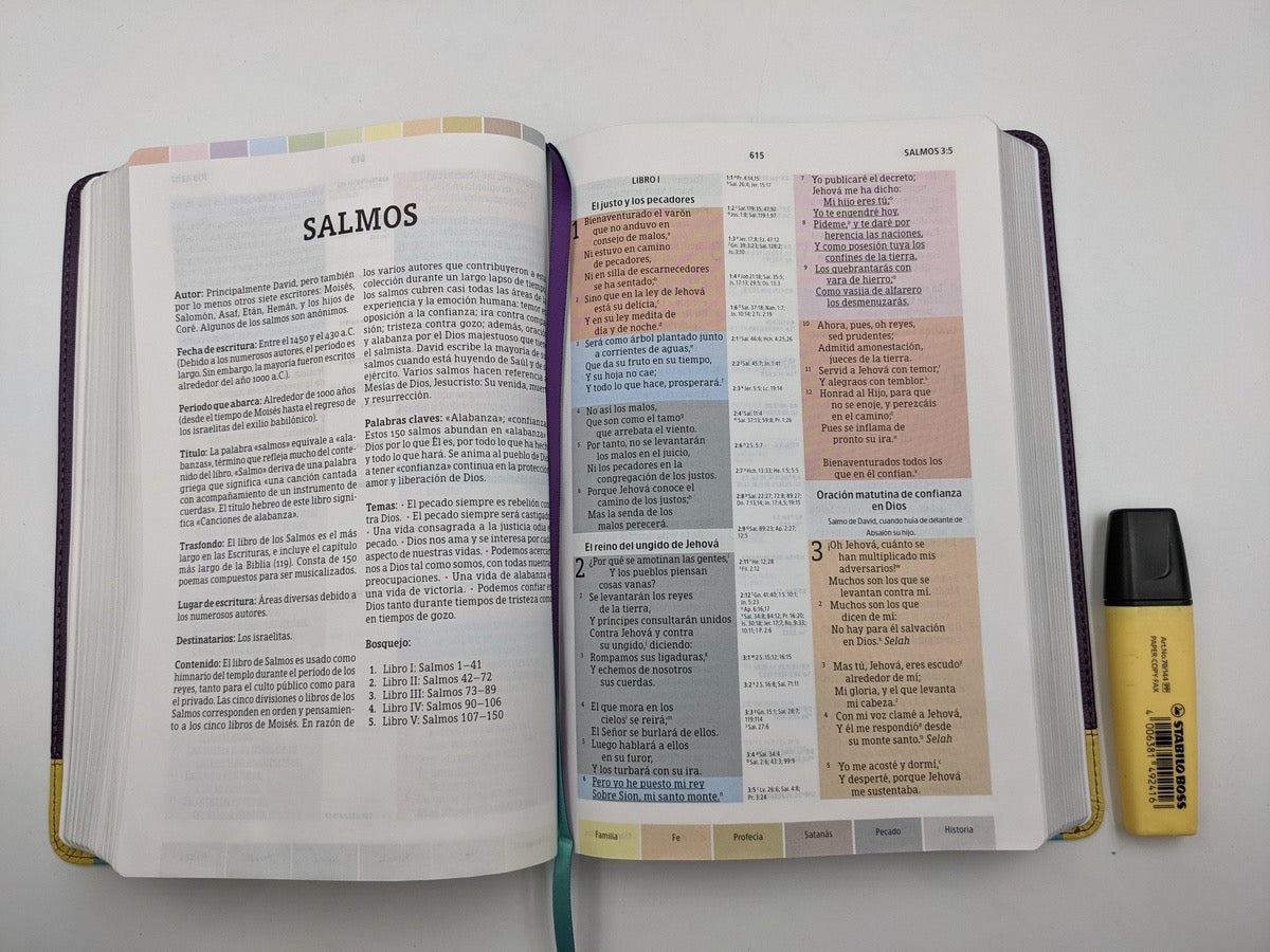Biblia de estudio Arcoiris RVR60 morado