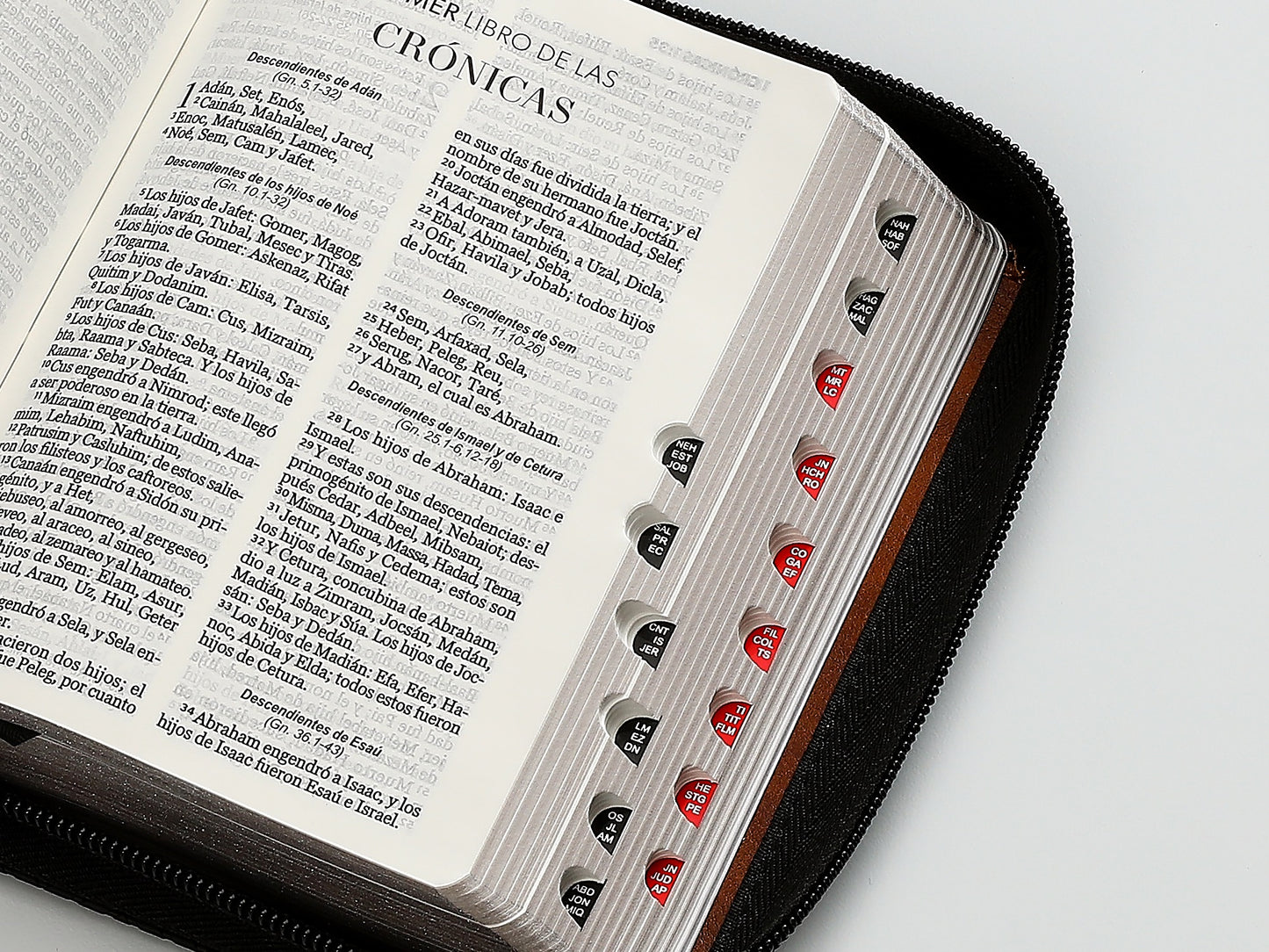 Biblia RVR60 Bolsillo Negro